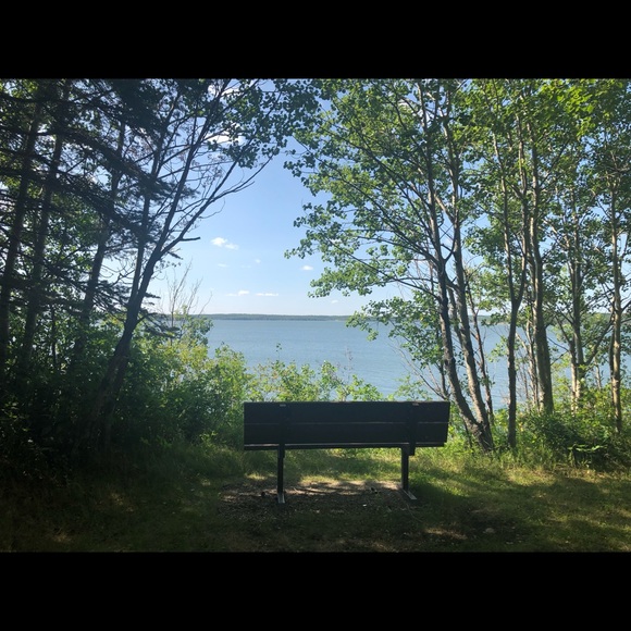 Meet your Posher, Joana paula - Picture 1 of 1